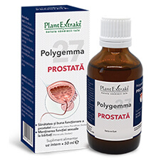 Polygemma 27 - Prostată