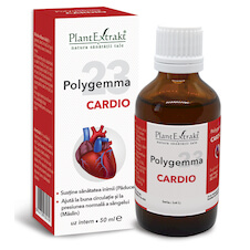 Polygemma 23 - Cardio