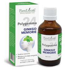 Polygemma 24 - Ginkgo Memorie