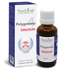 Polygemma 4 - Sinusuri