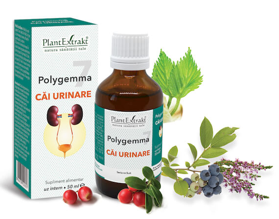Polygemma 7 - Căi urinare